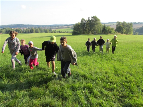 Obrázek v galerii